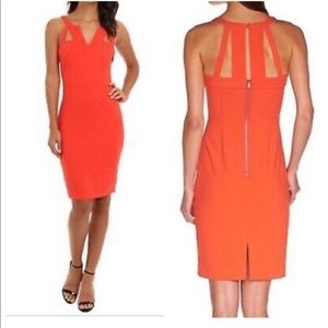 BCBGMaxazria Poinsettia Macie Cutout Dress Size 0